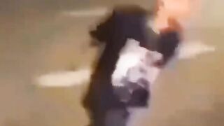 Best Funny Videos -Try Not Laugh ????????????????