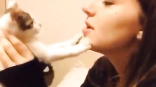 Funniest cats???? - Don't try to hold back Laughter ????