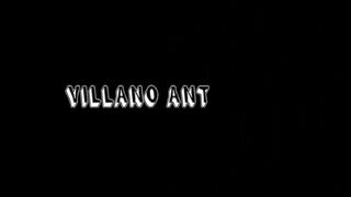 VILLANO ANTILLANO