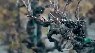 Ghost Adventures New Episode S25E13 ????Petrified in Pahrump???? Ghost Adventures Full Episode 6.4K views · 3 days ago...more
