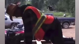 Sorry man, is a mistake don't cry (FUNNY MOMENT)