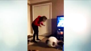 Top best Animal Funny Vids