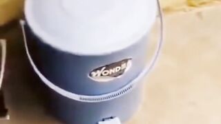 Monkey Funny TikTok video - It will make you laugh ????.mp4