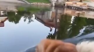 cute animals