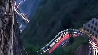 nature video