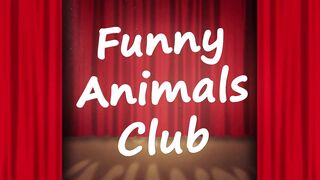 Funniest Animals Videos???? - Best Cats???? and Dogs???? Videos 2022!