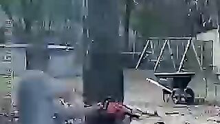 Epic tree scence