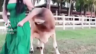 Time for funny videos ????