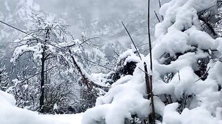 Winter is coming status