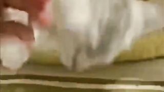 Amazing beautiful cats