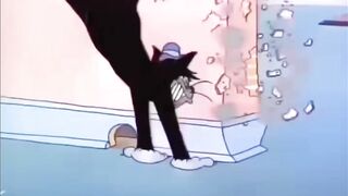 Tom, Jerry, and Black Cat