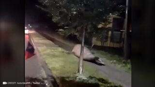 Most Incredible Moments Ever Caught On Camera #3 !