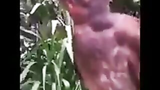 This bird can sings near about 50 different sounds