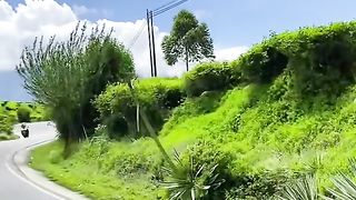 Indonesian Nature's