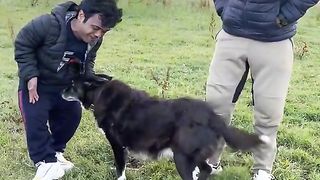 Funny video kya ho gya bhai log koi spot ni krta