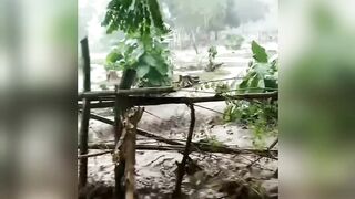 Banjir 2