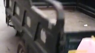 So funny 16