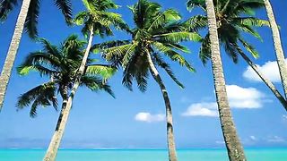 Chicane - Offshore (Ambient Mix)