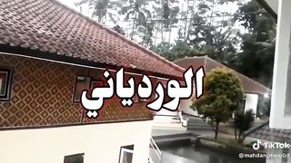 Wardoy