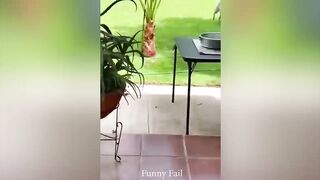Random Funny Videos | Instant Regret Compilation | Funny Fails #90