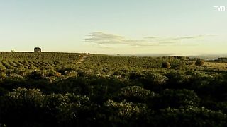 TN Capítulo 18