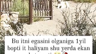 Ibratli video 2