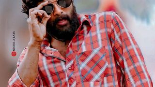 Hindi dubbed allu-arjun movie clip