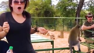 TRY NOT TO LAUGHING I Best Funny Videos Compilation 2023 # 481 3