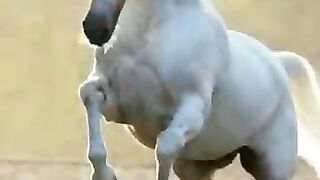 Pure power