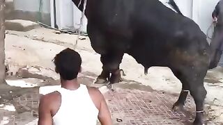 funny 113