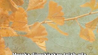 GINKGO BILOBA