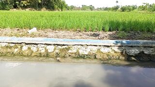 SUASANA DESA DI SIANG HARI