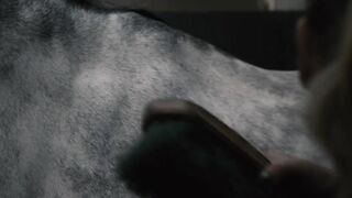 Horse Desert Riding