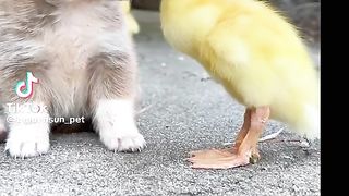 Best Friends 3
