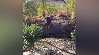 Funniest Animals Fails Compilation 2023 ????????