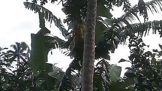 Suasana perkampungan di pagi hari