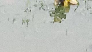 Barish ke baad