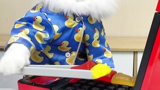 entertainment compilation 200