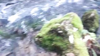 Beautiful nature 31