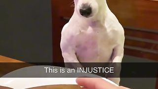 Injustice