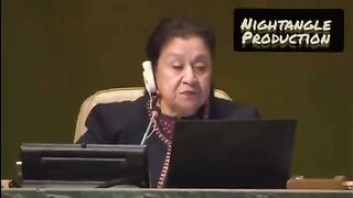 Imran Khan & Shehbaz Sharif entry in UN