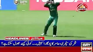 Cricket 50