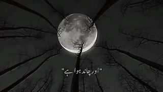 Cand hoaa hy