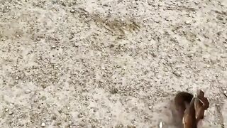 Snake 8