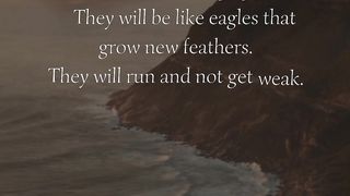 Isaiah 40 : 31