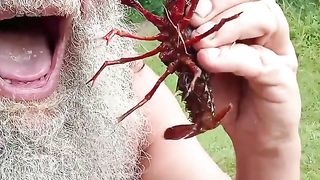 Sedang berlatih di gigit kepiting????????????????