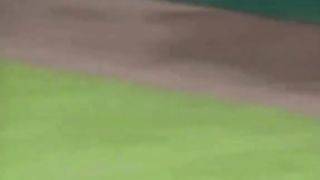 Baseball Old Veteran