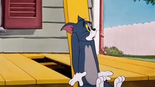 Little Dog (Tom and Jerry)