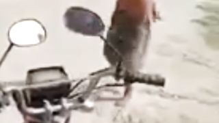 اڇي ڏاڙھي اٽو خراب