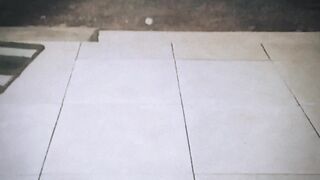 Cat eat mouse